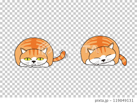 丸くなってしっぽを振り寝る猫(茶トラ) 丸くなってしっぽを振り寝る猫(茶トラ) 119849131