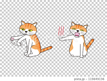 A cat (brown tabby) suddenly gets angry while playing and claws out A cat (brown tabby) suddenly gets angry while playing and claws out 119849136