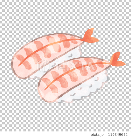 手繪蝦壽司兩件插圖與紋理 119849652