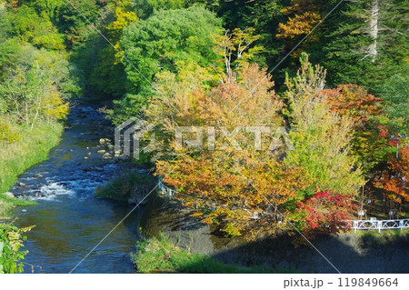 紅葉のある風景 119849664