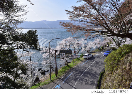 滋賀県高島市・海津大崎の桜 119849764