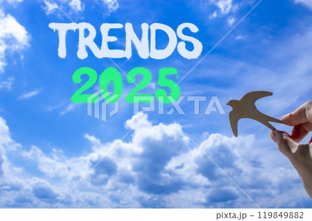 Planning trends 2025 new year symbol. Concept words Trends 2025 on beautiful blue sky. Beautiful blue sky clouds background. Hand holds wooden bird. Business trends 2025 new year concept. Copy space. Planning trends 2025 new year symbol. Concept words Trends 2025 on beautiful blue sky. Beautiful blue sky clouds background. Hand holds wooden bird. Business trends 2025 new year concept. Copy space. 119849882