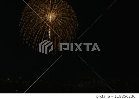 牧之原市相良サンビーチであるさがら海上花火大会の夜空に咲く大輪の花(静岡県) 119850230