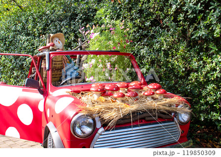 秋のイングリッシュガーデン 119850309