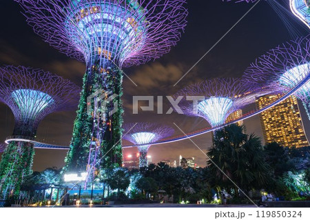 観光客がいないガーデンズバイザベイ 119850324