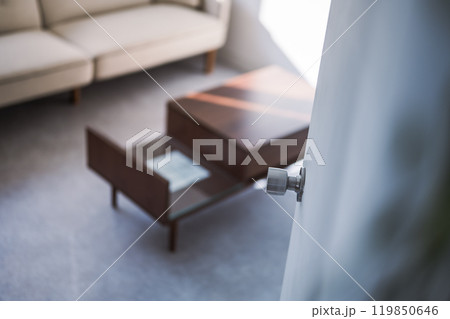 ドアノブ 119850646