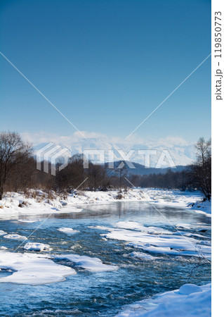 冬の河原と雪山と青空 十勝岳連峰 冬の河原と雪山と青空 十勝岳連峰 119850773