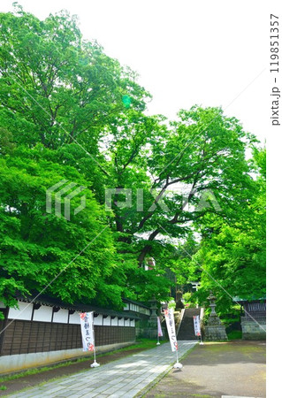 加茂山公園 青海神社(新潟県) 加茂山公園 青海神社(新潟県) 119851357