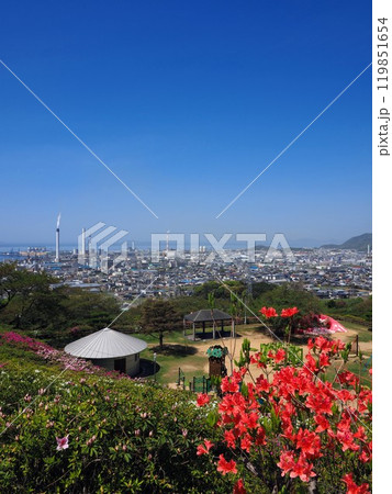 ツツジ咲く三島公園　愛媛県四国中央市6 119851654