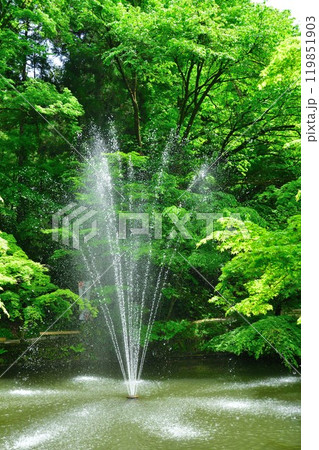 加茂山公園(新潟県) 加茂山公園(新潟県) 119851903