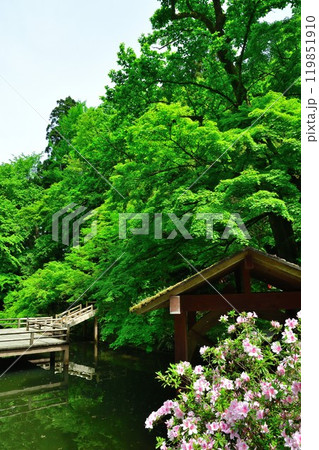加茂山公園（新潟県） 119851910