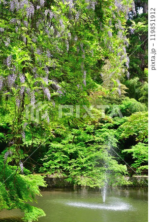 加茂山公園(新潟県) 加茂山公園(新潟県) 119851912