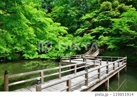 加茂山公園(新潟県) 加茂山公園(新潟県) 119851914
