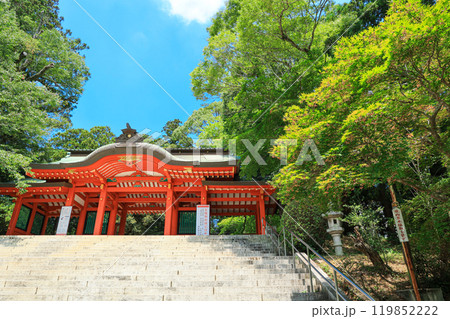 【千葉県香取市】香取神宮総門 【千葉県香取市】香取神宮総門 119852222