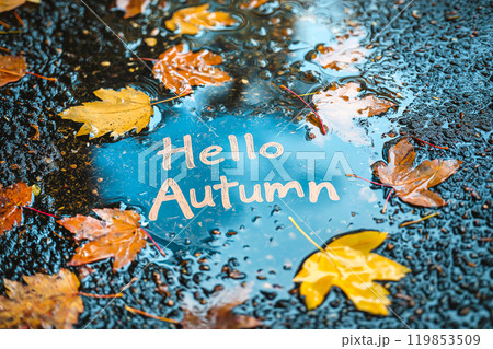 Words "Hello Autumn" in the puddle. Autumn leaves in a puddle, fall season, symbol of the rainy season of the year. Autumn time welcoming 119853509