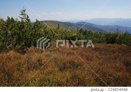 Range of Silesian Beskids near Szczyrk town in Poland Range of Silesian Beskids near Szczyrk town in Poland 119854086
