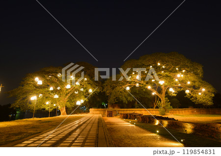 Night theme garden decoration wih tree decorated with light bulb. Night light background with copy space. 119854831