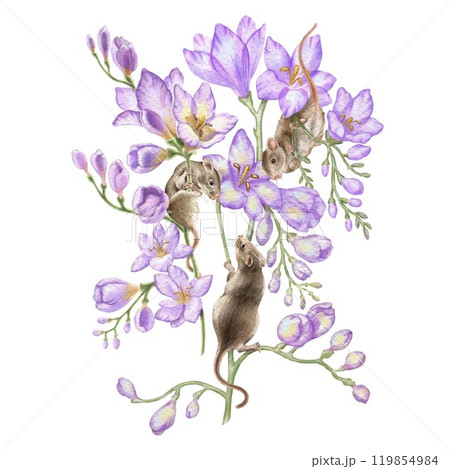 Three mice in freesia flowers. Watercolor illustration in vintage style. Printing postcards, invitations, notebooks. Printing on a cup, T-shirt, craft bag, kitchen towel, etc. Plot in Provence style. 119854984