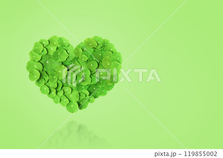 Mockup of the heart is made of green leaf isolated on green background. Ecology concept. World Nature Conservation Day 119855002
