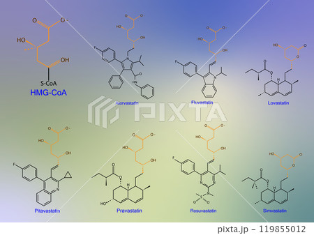 Chemical of some group of drug call Statins. 119855012