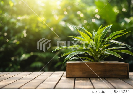 A plant provides a soothing and natural atmosphere to the wooden platform. Created with generative AI tools 119855224