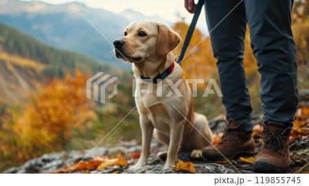 A person is walking a dog on a mountain trail 119855745