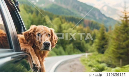 Happy dog on a scenic road trip adventure, Enjoying the view from open car window surrounded by nature Happy dog on a scenic road trip adventure, Enjoying the view from open car window surrounded by nature 119856135