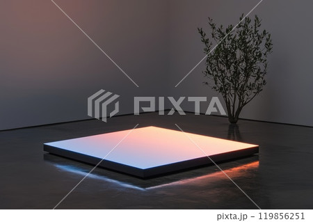 Neon Rectangle with Blue and Pink Hues in Modern Space Neon Rectangle with Blue and Pink Hues in Modern Space 119856251