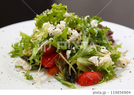 Salad with feta cheese. Salad with cheese, tomatoes and herbs. Salad with feta cheese. Salad with cheese, tomatoes and herbs. 119856904