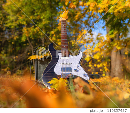 Electric guitar with a combo amplifier in an autumn forest among bright yellow and orange leaves during leaf fall. Autumn blues 119857427