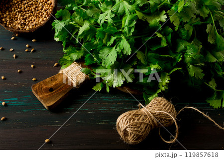 bunch of fresh Cilantro, coriander seeds, on a dark wooden table, close-up, top view, no people. 119857618