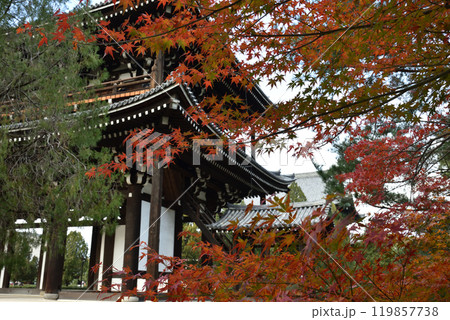秋の東福寺　モミジと三門【国宝】 119857738