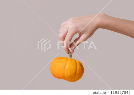 Hand holding decorative pumpkin on gray background. Autumn holiday concept of Thanksgiving  119857843