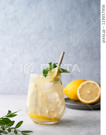 Mojito cocktail with fresh lemon, mint and ice. Refreshing citrus lemonade drink Mojito cocktail with fresh lemon, mint and ice. Refreshing citrus lemonade drink 119857956