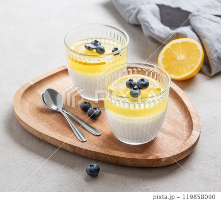 Creamy lemon panna cotta with blueberries in two glasses on a wooden board with fresh berries Creamy lemon panna cotta with blueberries in two glasses on a wooden board with fresh berries 119858090