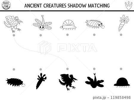 Dinosaur black and white shadow matching activity with ancient animals. Prehistoric line puzzle with cute ammonite, centipede. Find correct silhouette printable worksheet, game, coloring page Dinosaur black and white shadow matching activity with ancient animals. Prehistoric line puzzle with cute ammonite, centipede. Find correct silhouette printable worksheet, game, coloring page 119858498