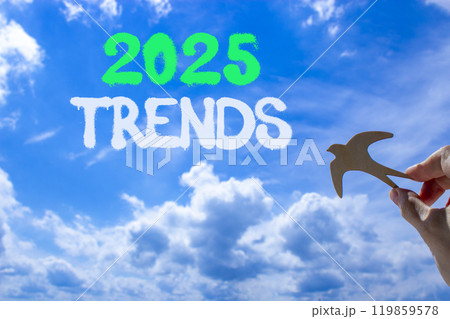 Planning 2025 trends new year symbol. Concept words 2025 Trends on beautiful blue sky. Beautiful blue sky clouds background. Hand holds wooden bird. Business 2025 trends new year concept. Copy space. Planning 2025 trends new year symbol. Concept words 2025 Trends on beautiful blue sky. Beautiful blue sky clouds background. Hand holds wooden bird. Business 2025 trends new year concept. Copy space. 119859578