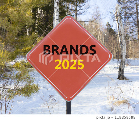 Planning brands 2025 new year symbol. Concept words Brands 2025 on beautiful red road sign. Beautiful winter forest background. Business brands 2025 new year concept. Copy space. Planning brands 2025 new year symbol. Concept words Brands 2025 on beautiful red road sign. Beautiful winter forest background. Business brands 2025 new year concept. Copy space. 119859599
