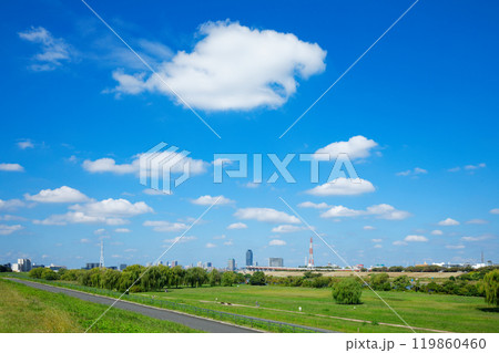 荒川の川原より川口元郷の住宅街を望む　青い空に白い雲 119860460