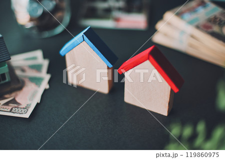 木製の小さな家とお金 木製の小さな家とお金 119860975