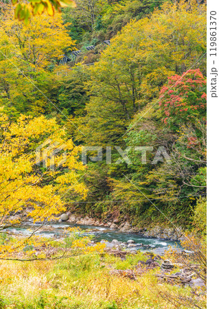 【新潟県】秋山郷 猿飛橋付近の紅葉 【新潟県】秋山郷 猿飛橋付近の紅葉 119861370