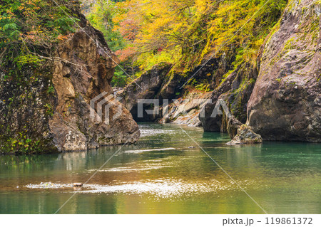 【新潟県】秋山郷　猿飛橋付近の紅葉 119861372
