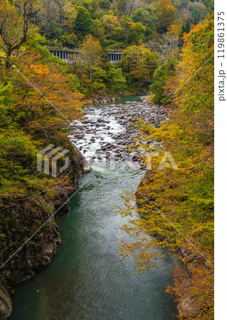 【新潟県】秋山郷　猿飛橋付近の紅葉 119861375