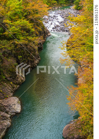 【新潟県】秋山郷 猿飛橋付近の紅葉 【新潟県】秋山郷 猿飛橋付近の紅葉 119861376