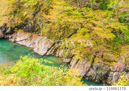 【新潟県】秋山郷　猿飛橋から見下ろした紅葉 119861378