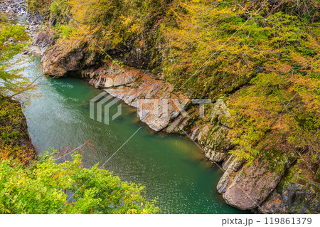 【新潟県】秋山郷 猿飛橋から見下ろした紅葉 【新潟県】秋山郷 猿飛橋から見下ろした紅葉 119861379