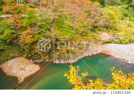 【新潟県】秋山郷 猿飛橋から見下ろした紅葉 【新潟県】秋山郷 猿飛橋から見下ろした紅葉 119861380