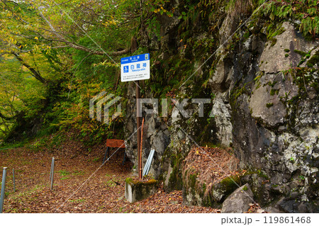 【新潟県】秋の秋山郷　猿飛橋の白龍神 119861468