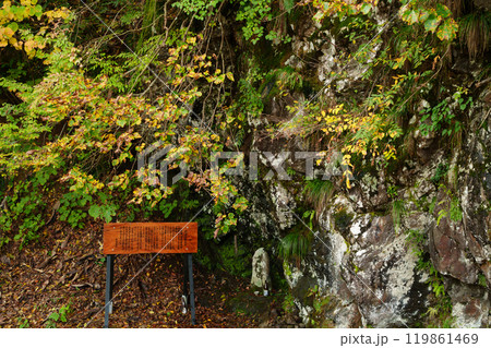 【新潟県】秋の秋山郷　猿飛橋の白龍神 119861469
