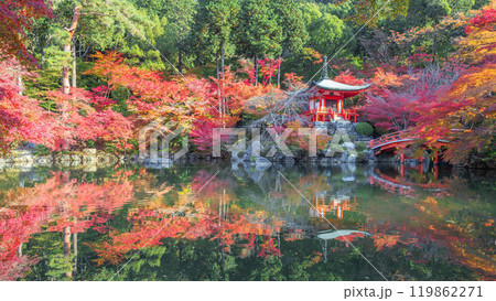 秋の弁天堂 秋の弁天堂 119862271